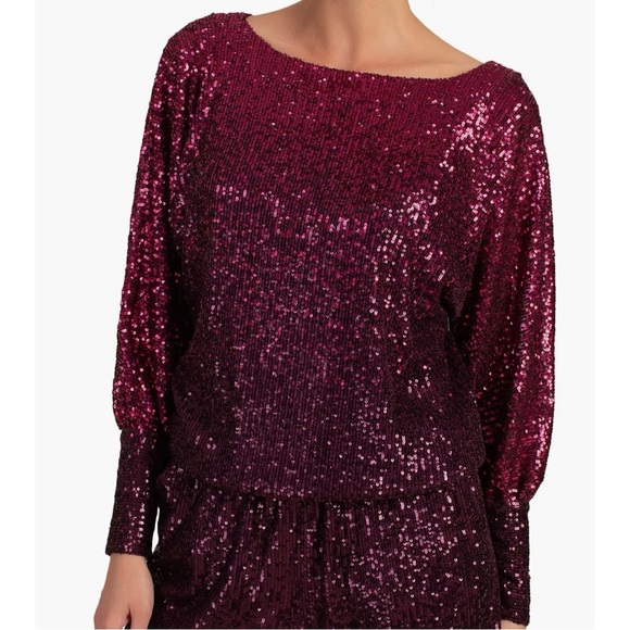 NWT Trina Turk Sprite Dolman Long Sleeve Sequence Top in Pink Size Small - Picture 1 of 11